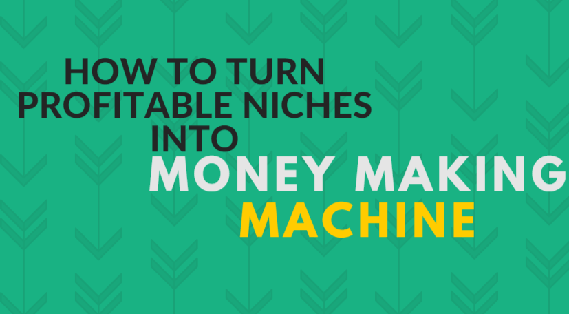 How to turn Profitable Niches into Money Making Machine
